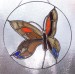 motýl-závěs